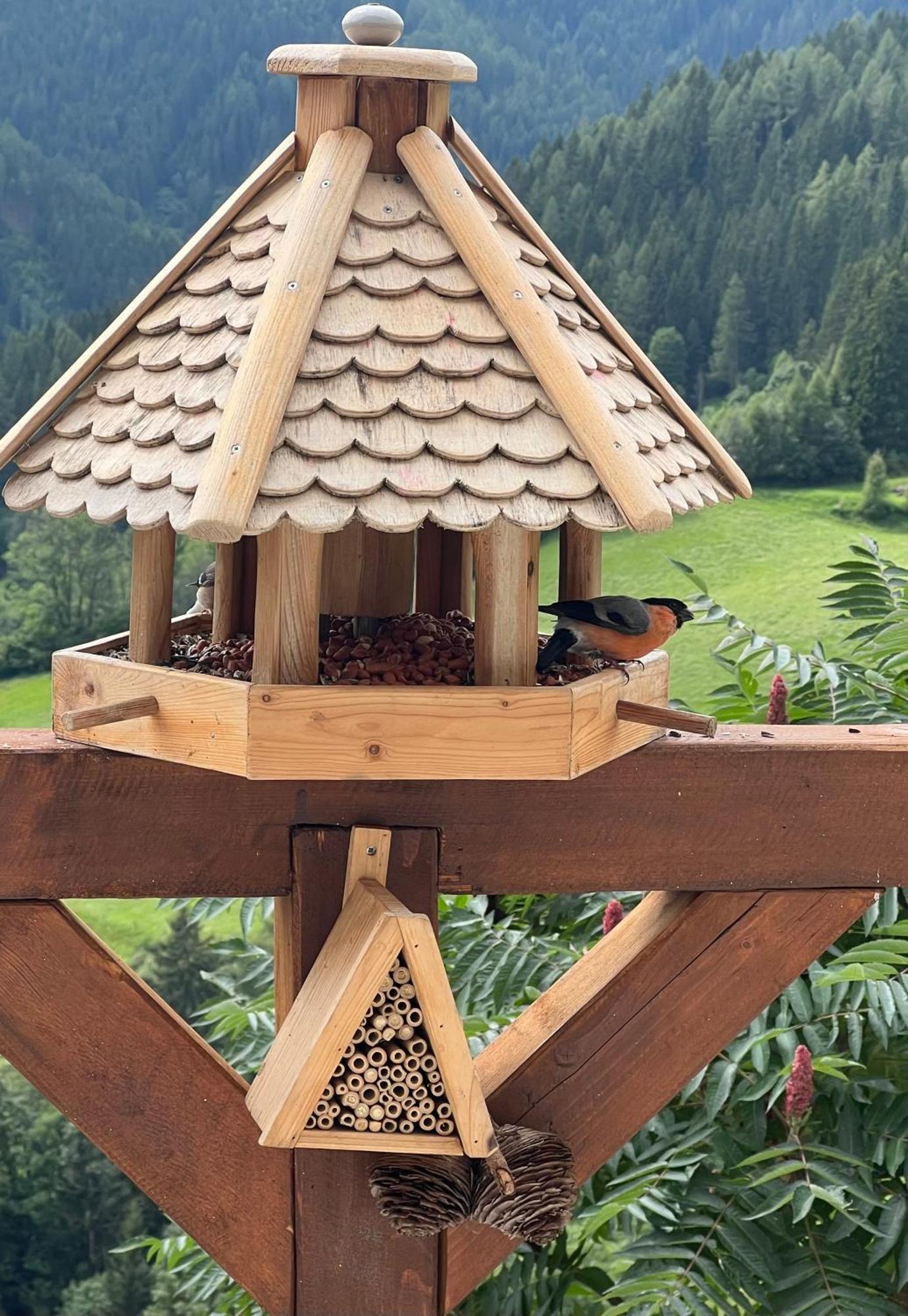 Poelstaler Berghuette Appartement Oberzeiring Buitenkant foto