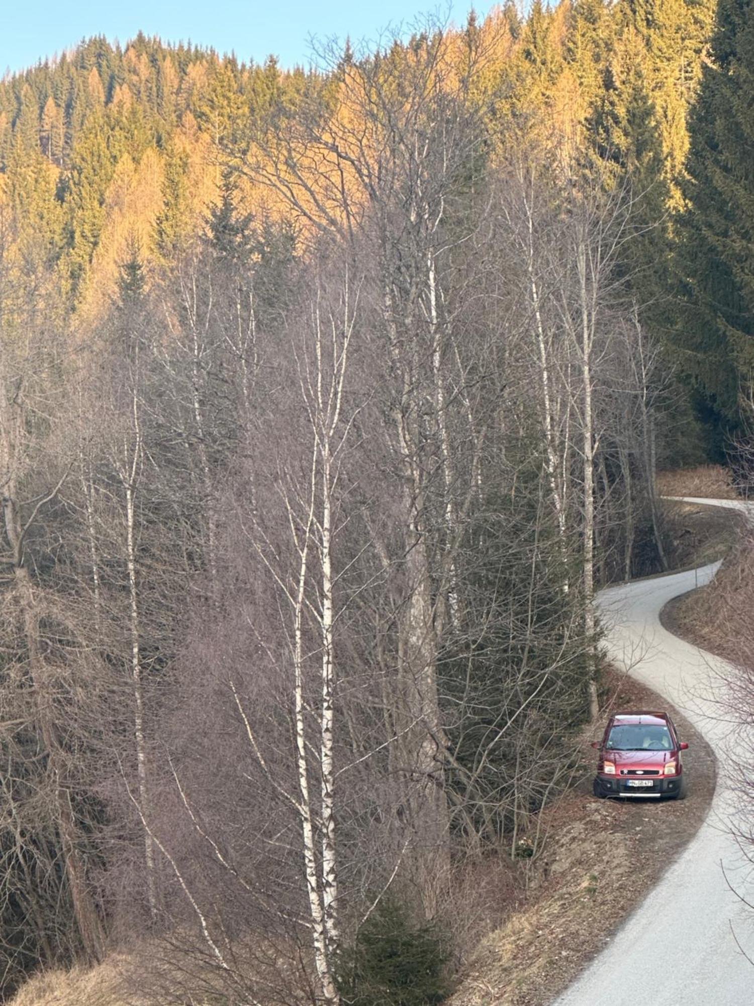 Poelstaler Berghuette Appartement Oberzeiring Buitenkant foto